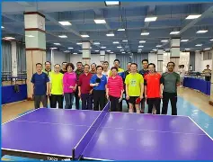 乒乓球友谊赛，塞外铁骑队与云贵海豚队强势横扫，VAR改判成焦点！定海神针仍在(乒乓球友谊赛开赛啦)